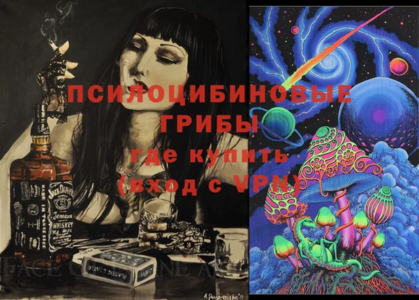 хмурый Пестово
