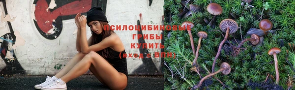 каннабис Алексеевка