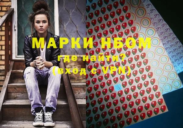 хмурый Пестово